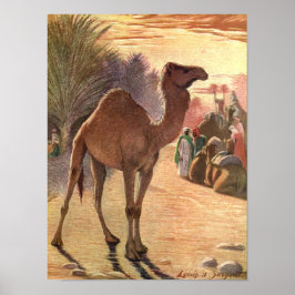 Camel von Louis Sargent, Vintage Wildtiere Poster
