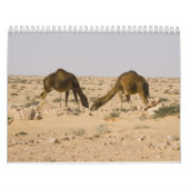 Camel Wall Calendar Kalender (Titelbild)