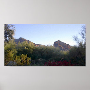 Camelback-Berg Poster