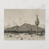 Camelback Mountain Saguaro Cactus Black & White Postkarte (Vorderseite)
