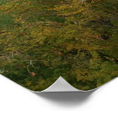 Camelback Mountain, Scottsdale, Arizona Poster (Ecke)