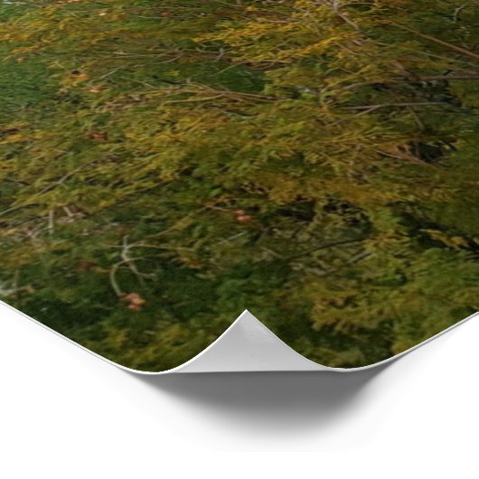 Camelback Mountain, Scottsdale, Arizona Poster (Ecke)