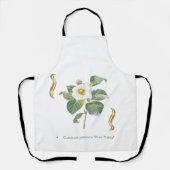 Camelia blanc schürze (Vorderseite)