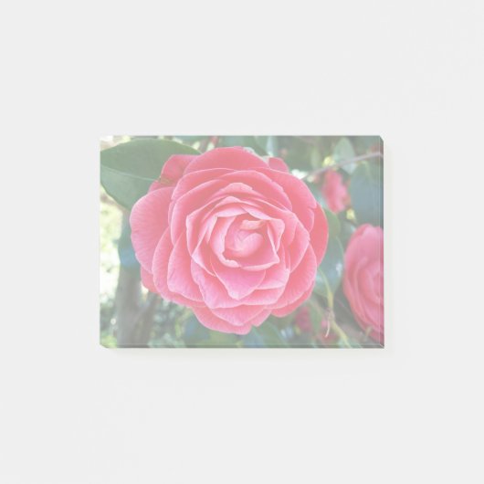 Camelia Notes Post-it Klebezettel (Vorderseite)