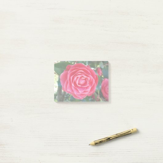 Camelia Notes Post-it Klebezettel (Auf Schreibtisch)