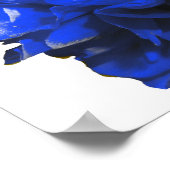 Camelia Pop Blue Poster (Ecke)