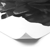 Camelia Pop Gray Poster (Ecke)