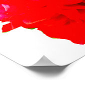 Camelia Pop Red Poster (Ecke)