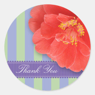 Camelia & Streifen mit Band: rosa Runder Aufkleber