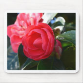 Camellia Blossom Mousepad (Vorne)