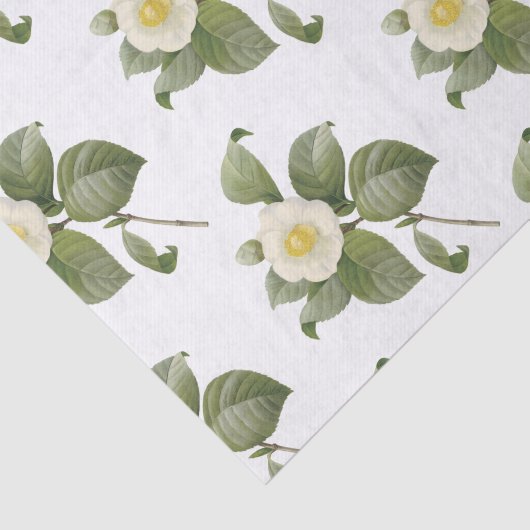 Camellia Blume Pattern Seidenpapier (Ausschnitt)
