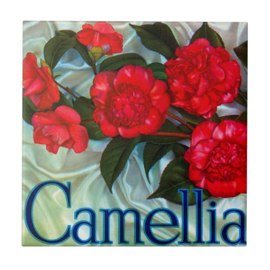 Camellia Brand Orange Etikett Fliese (Vorderseite)
