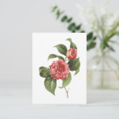 Camellia (Camellia japonica) von Redouté Postkarte (Stehend Vorderseite)