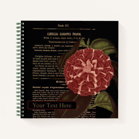 Camellia Carlotta Peloso Black Notizblock (Vorderseite)