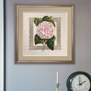 Camellia Chateau Chic Vintage Botanik Poster
