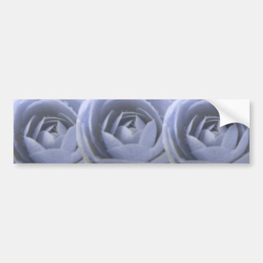 Camellia Frozen Beauty Autoaufkleber (Vorne)