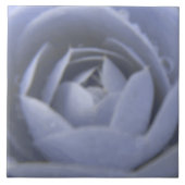 Camellia Frozen Beauty Tile Fliese (Vorderseite)