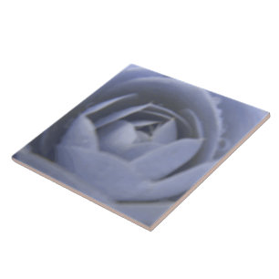 Camellia Frozen Beauty Tile Fliese