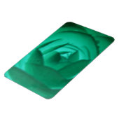 Camellia Hypnotic Premium Magnet (Linke Seite)