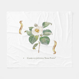 Camellia japonica 'Alba Plena' Fleecedecke