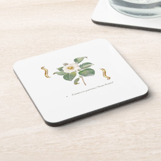 Camellia japonica 'Alba Plena'  Getränkeuntersetzer (Linke Seite)