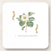 Camellia japonica 'Alba Plena'  Getränkeuntersetzer (Vorderseite)