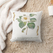 Camellia japonica 'Alba Plena'  Kissen (Decke)
