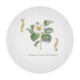 Camellia japonica 'Alba Plena' Schneidebrett