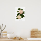 Camellia japonica poster (Küche)