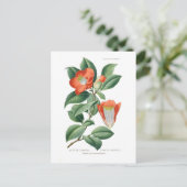 Camellia japonica postkarte (Stehend Vorderseite)