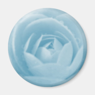Camellia Magnet