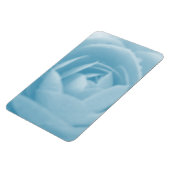 Camellia Magnet (Linke Seite)