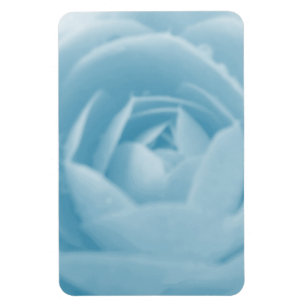 Camellia Magnet