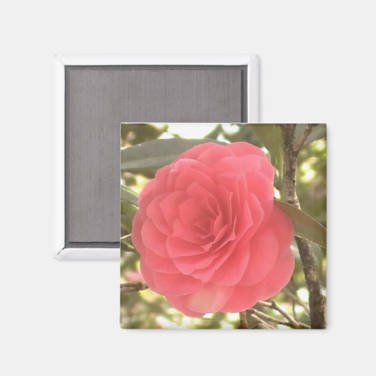 Camellia Magnet (Vorderseite/Rückseite)