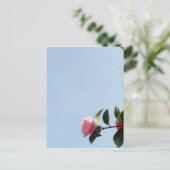 Camellia Pink Blume Blue Sky Postkarte (Stehend Vorderseite)