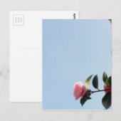 Camellia Pink Blume Blue Sky Postkarte (Vorne/Hinten)