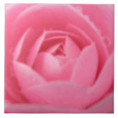 Camellia Pink Tile Fliese (Vorderseite)