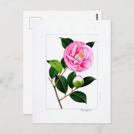 Camellia Plate: Hanafuki Postkarte (Vorne/Hinten)