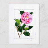 Camellia Plate: Hanafuki Postkarte (Vorderseite)