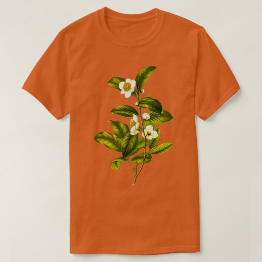 Camellia Sinensis Botanischer Tee Pflanze (Design vorne)