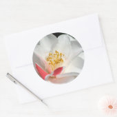 Camellia Stickers (Umschlag)