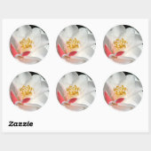 Camellia Stickers (Blatt)