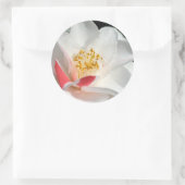 Camellia Stickers (Tasche)