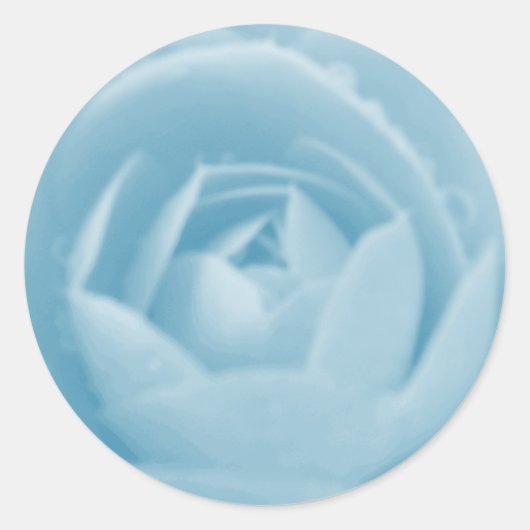 Camellia Whirlpool Sticker (Vorderseite)