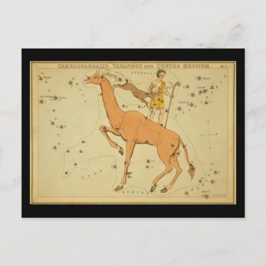 Camelopardalis, Tarandus und Custos Messium Postkarte (Vorderseite)