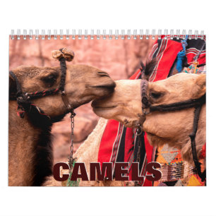 Camels 2022 Wall Calendar Kalender
