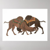 Camels Biting- Masti Poster (Vorne)