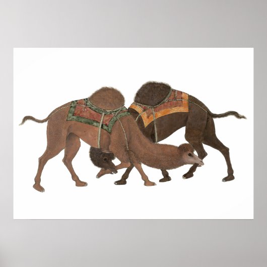 Camels Biting- Masti Poster (Vorne)