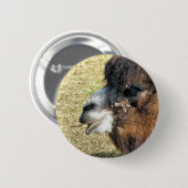 CAMELS BUTTON (Vorne & Hinten)