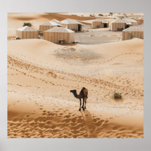Camels Glamping: marokkanische Wüste Luxus Poster